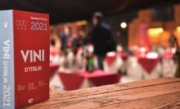 Cinque vini lucani alla conquista di Gambero Rosso 
