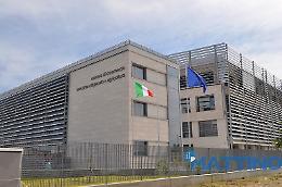 Invasione del grano dall'Ucraina e dalla Turchia, crolla la Borsa merci internazionale di Foggia