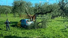 Finisce con l'auto contro un albero, tra San Severo e Apricena: morto un ragazzo di 19 anni