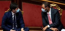 Peste suina africana. Boomerang sull'ordinanza di Speranza e Patuanelli: Fiab e Federparchi sollevano perplessità 
