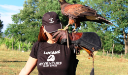 Turismo sociale: ecco le lucane avventure del Team Bpass