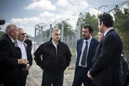 Salvini è pronto a partire per l'Ucraina: missione di pace di pace con Orban 
