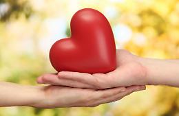 Trapianti, Puglia 16esima per la donazione di organi in Italia. Foggia ultima in classifica