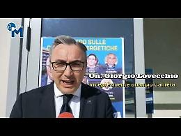 Produzione di energia, da Foggia la sfida delle comunità energetiche: l'unione fa la forza
