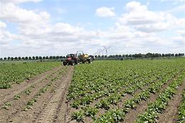 Da Via Verrastro il bando da oltre 36 milioni a sostegno delle imprese agricole