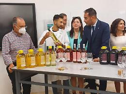 Sasso e Merra lanciano la sfida al Pnrr da scuola e formazione: 6 milioni per l'Agrario di Lavello