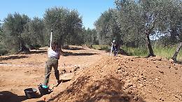 Da domani il via alla campagna di scavo archeologico del “FArch – Ferrandina Archeologica”
