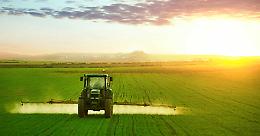 
Domani a Rionero la finale lucana degli Oscar Green delle aziende agricole under 40
