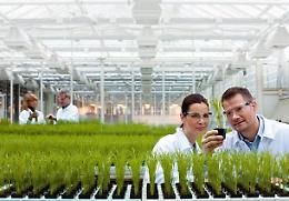 UniFg nella cordata per la nascita da 350milioni di euro del Centro Nazionale delle Nuove Tecnologie in Agricoltura