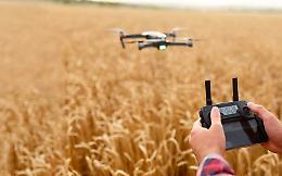 320 milioni del Pnrr: nasce Agritech, coinvolte 28 Università tra le quali l'Unibas 
