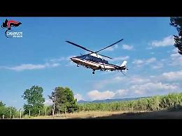 I Carabinieri mandano di traverso la grigliata al latitante arrestato a Lesina