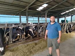 Bella, comparto zootecnico in seria difficoltà nell’agro del circondario