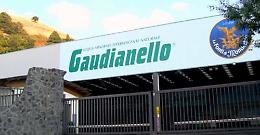 Stato di agitazione alla Gaudianello -Toka di Melfi: diverse le criticità sollevate dai lavoratori 