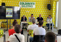 Filiera del latte,  partnership tra Coldiretti Campania e Basilicata a sostegno delle aziende
