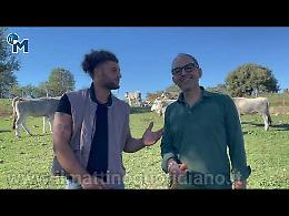 Michele “u sculer”, Raffaele “l’avvuchet”: i compagni alla scuola del Gargano dei miracoli