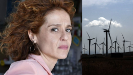 Imma Tataranni e le pale eoliche, quando la fiction entra a gamba tesa nella realtà
