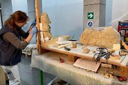Matera: apre al pubblico l'allestimento dedicato al fossile della balena Giuliana scoperto nel 2006

