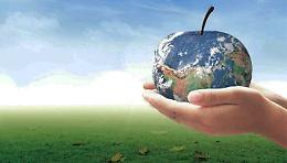 La tua salute, quella dei tuoi figli e del clima si curano con frutta e verdura