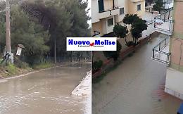 A Campomarino, in Molise, il mare scavalca la pineta e si prende le case