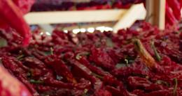 In Basilicata un percorso formativo per chi sogna di fare impresa nel settore agroalimentare 