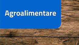 Verso il distretto del cibo dell'Alto Bradano, Val Camastra e Medio Agri: incontro a Sant'Arcangelo il 27 gennaio  
