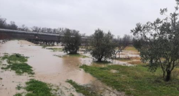 Frane e allagamenti in provincia di Foggia per il maltempo, il fiume Ofanto straripa tra Cerignola e Canosa prendendosi coltivazioni e uliveti