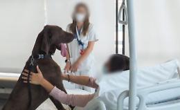 Sanità lucana, approvate le linee di indirizzo: si all'accesso degli animali d'affezione per i degenti
