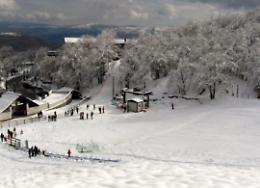 Montagna Grande di Viggiano: la neve c'è, l'entusiasmo pure. Da domani riapre il comprensorio sciistico 