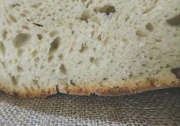 Dal liquore al sambuco di Chiaromonte al pane di Trecchina: ecco il video promo dei Pat