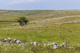 Una spinta per il ritorno dei giovani alla terra: all'asta 3.200 ettari di terreni incolti tra Basilicata e Puglia, il 20% in provincia di Foggia