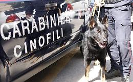 Spacciavano droga dandosi appuntamento su WhatsApp e Telegram: 6 arresti da parte dei Carabinieri tra Cerignola, Benevento e Avellino