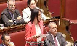 Mercato dell'utero in affitto? I meloniani non ci stanno, Ambrosi (FdI) richiama ad un argine etico