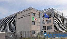 Crolla la Borsa merci di Foggia,  allarme nazionale per un attacco speculativo sul grano