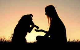Uomo e cane inseparabili:  nella buona e nella cattiva sorte, ma soprattutto nella salute e nella malattia