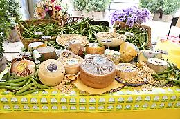 Dal pecorino e fave del Molise al timballo di pasta della Puglia, al caciocavallo impiccato con bruschetta della Basilicata: il Primo Maggio a tavola per ingannare la pioggia