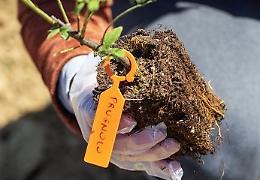 Biodiversità: così la climate tech 3Bee ha creato tre Oasi in Basilicata