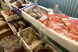 Intossicazioni da istamina, contenuta nel pesce, in provincia di Foggia: sintomi, controlli e raccomandazioni dalla Asl