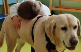 La Asl di Foggia boicotta la pet therapy che finora ha aiutato 500 bambini