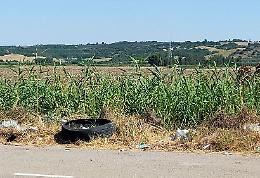 La Metaponto - Matera? Più che una statale una vera e propria discarica 