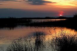Non si Lesina con la malaria che ancora oggi è una priorità per la sanità pubblica