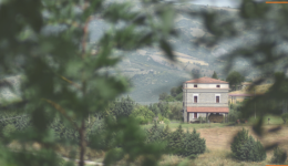 Fattoria degli enotri e l’Ultima foresta incantata celebrano a Valsinni e Policoro la biodiversità, l’arte e le tradizioni