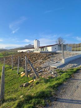 Polemiche sull'insediamento di un allevamento di polli a Vietri di Potenza, Fare Ambiente Basilicata lancia un appello