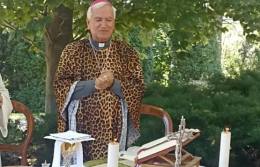 Il monsignore celebra con la casula leopardata, il web si scatena