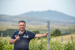 Da Lavello alla Top 100 Migliori vini italiani 2024 di winemag.it: brilla la Cantina Vitis in Vulture