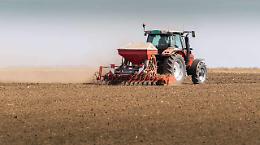 La provincia di Foggia si conferma "lievito" d'Italia del grano con 240mila ettari di coltivazione per le sementi