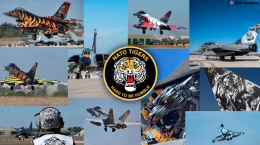 A Gioia del Colle il raduno delle "tigri delle Nato": 80 aeromobili da 10 Paesi per perfezionare le missioni di guerra