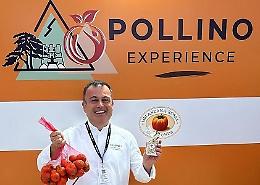 Alla kermesse 'Milano Golosa' brillano la melanzana rossa e il fagiolo bianco di Rotonda