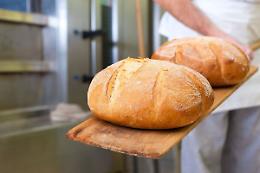 Assipan - Confcommercio: riunione a Potenza per la costituzione dell'Associazione dei Panificatori