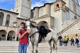 Da Lagonegro ad Assisi a piedi: l'impresa di Cono La Veglia e il suo cavallo cieco
