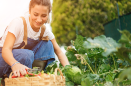 Coltivazioni bio: sempre più presenti sul territorio italiano